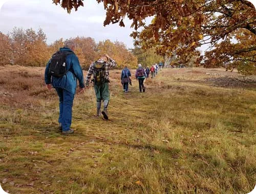 Wandern